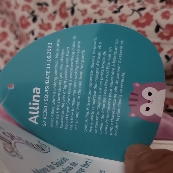 Brand new Squishmallows Allina the Chipmunk Plush Pillow - Picture 10 of 10